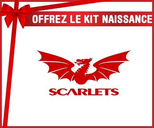 kit naissance bébé personnalisé Llanelli Scarlets