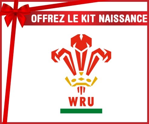 kit naissance bébé personnalisé Wales Rugby XV
