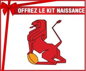 kit naissance bébé personnalisé España Rugby XV