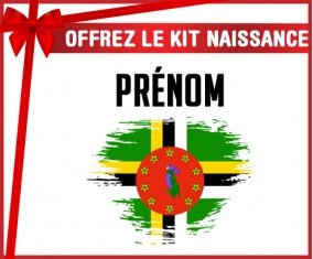 kit naissance bébé personnalisé Drapeau effet pinceau Dominique avec prénom