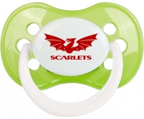 Llanelli Scarlets Tétine Anatomique Vert classique