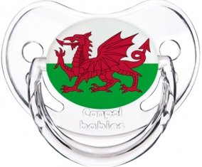 Drapeau Pays de Galles Sucete Physiologique Transparent classique