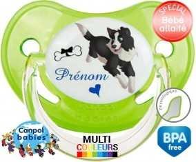 Border collie + prénom: Sucette Physiologique-su7.fr