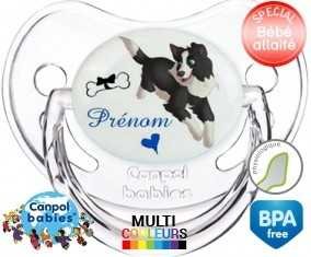 Border collie + prénom: Sucette Physiologique-su7.fr