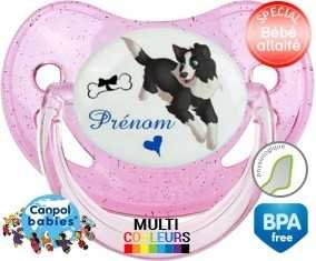 Border collie + prénom: Sucette Physiologique-su7.fr