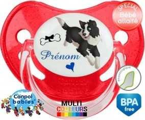 Border collie + prénom: Sucette Physiologique-su7.fr