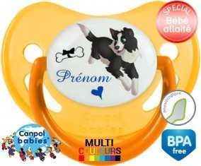 Border collie + prénom: Sucette Physiologique-su7.fr