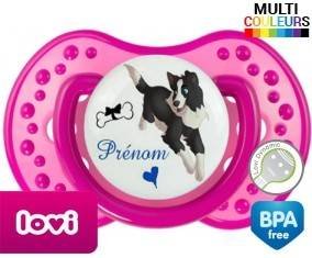 Border collie + prénom: Sucette LOVI Dynamic-su7.fr