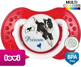 Border collie + prénom: Sucette LOVI Dynamic-su7.fr