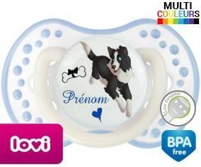 Border collie + prénom: Sucette LOVI Dynamic-su7.fr