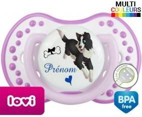 Border collie + prénom: Sucette LOVI Dynamic-su7.fr