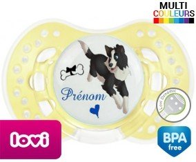 Border collie + prénom: Sucette LOVI Dynamic-su7.fr