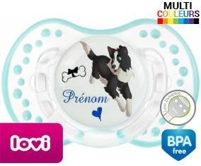 Border collie + prénom: Sucette LOVI Dynamic-su7.fr
