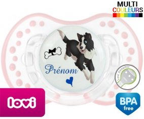 Border collie + prénom: Sucette LOVI Dynamic-su7.fr