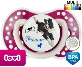 Border collie + prénom: Sucette LOVI Dynamic-su7.fr