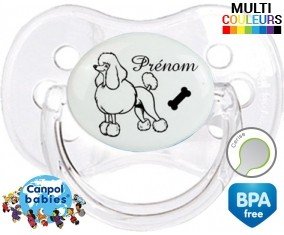 Caniche + prénom: Sucette Cerise-su7.fr