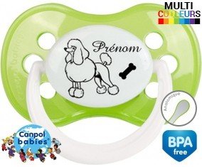 Caniche + prénom: Sucette Anatomique-su7.fr