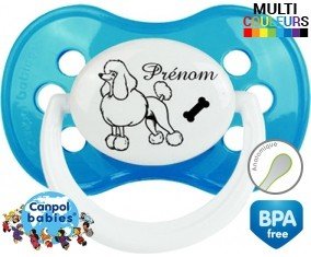 Caniche + prénom: Sucette Anatomique-su7.fr