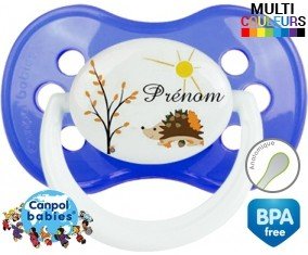 Tetine Hérisson soleil + prénom embout Anatomique personnalisée