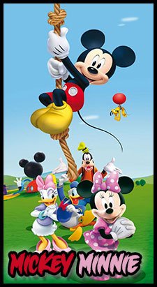 Articles design Mickey & Minnie